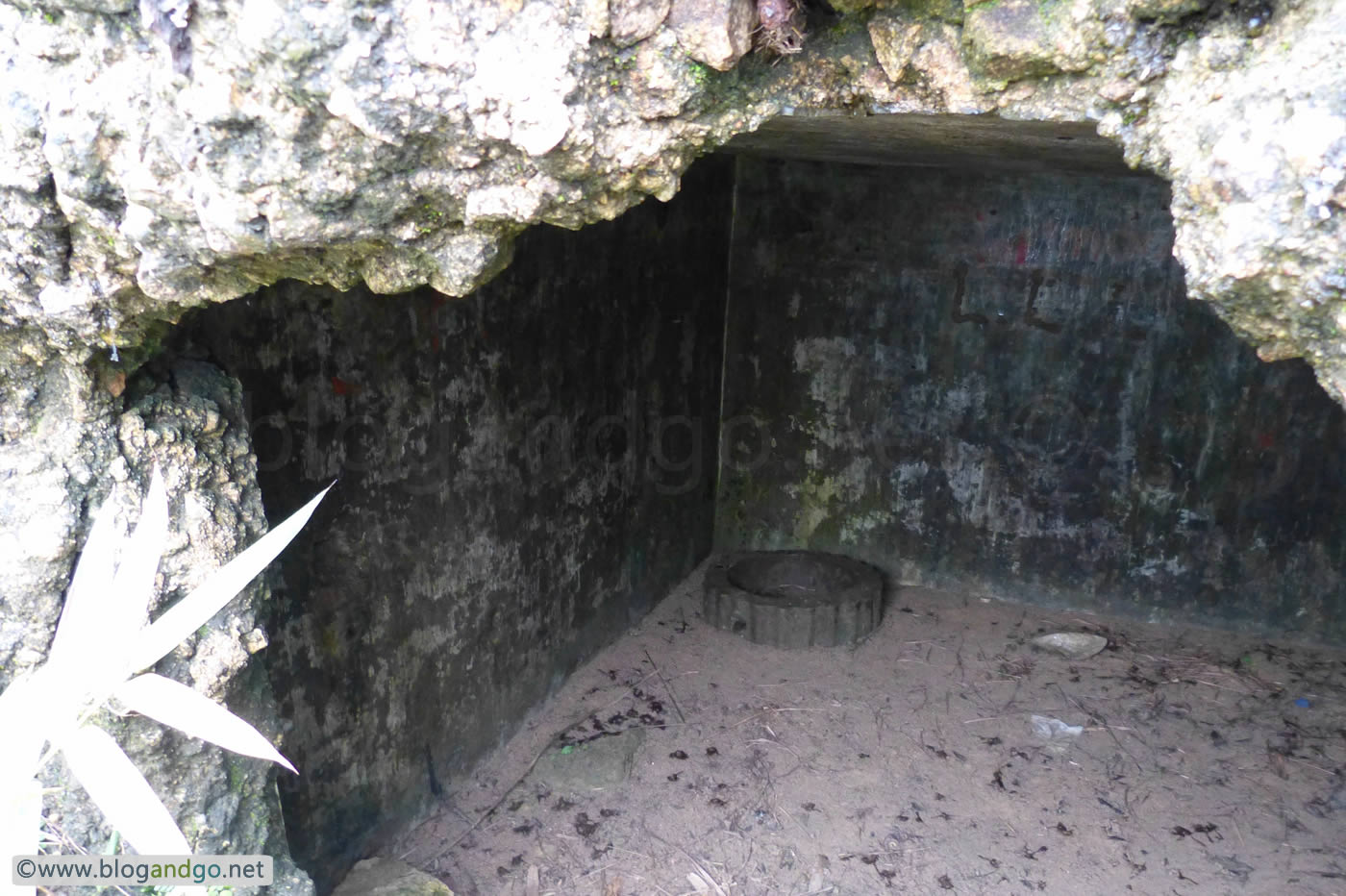 Wilson Trail 2 - Pillbox at Jardines Lookout